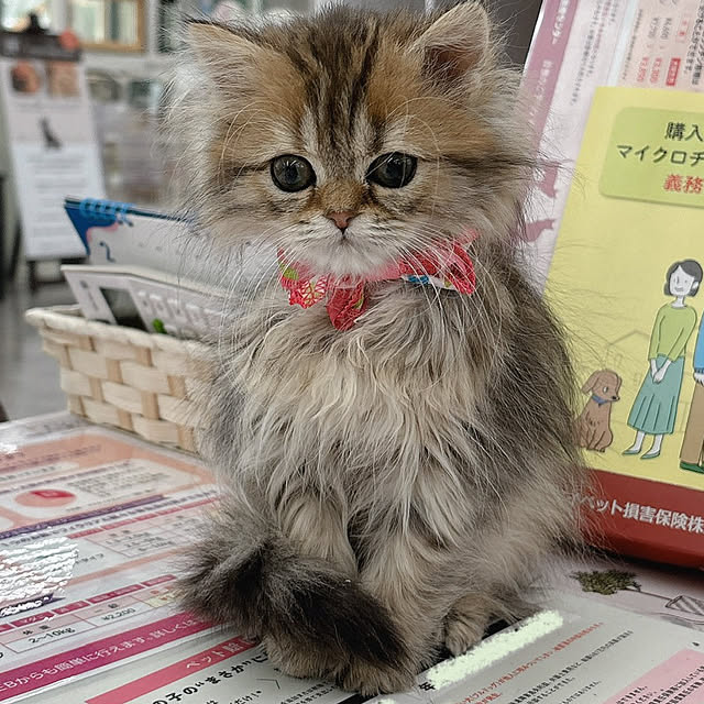 miyu39さんの実例写真