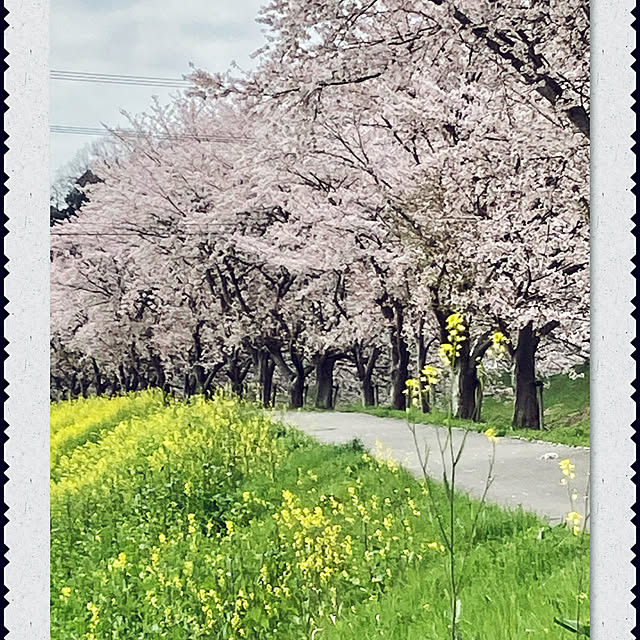 cota2さんの部屋