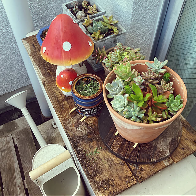 hikuidoriさんの実例写真