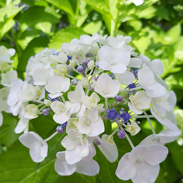 min_nimさんの実例写真