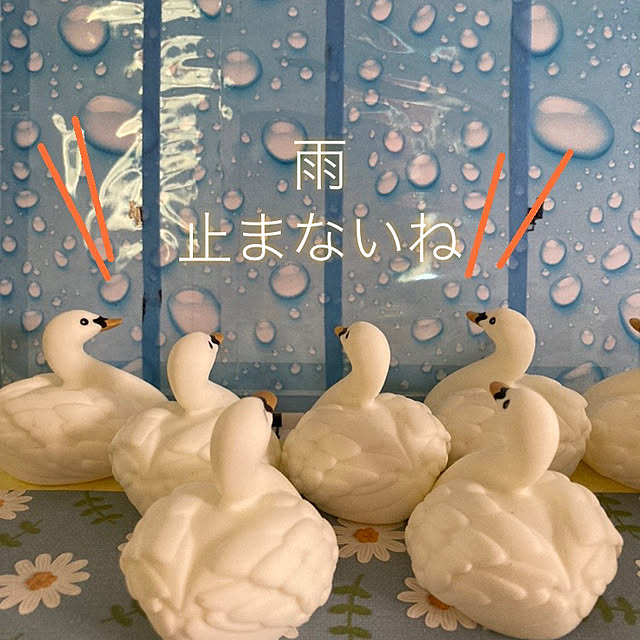 manduonmaさんの部屋
