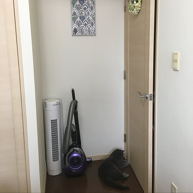 kittyさんの実例写真