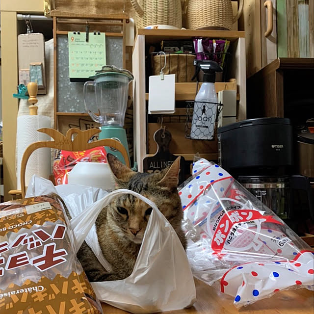 mohhaさんの実例写真