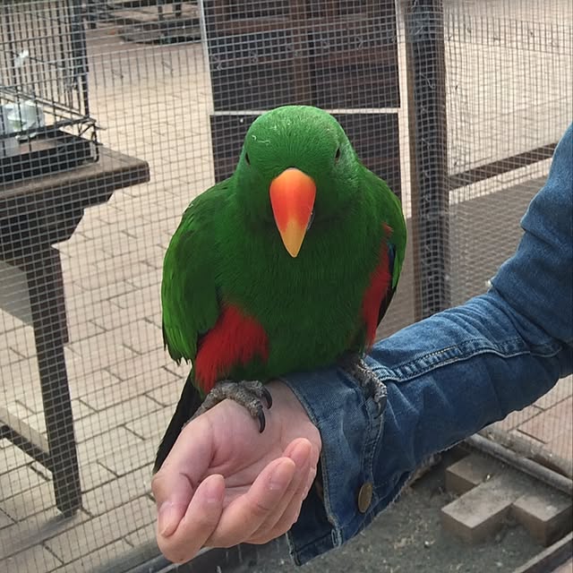 fukuさんの実例写真