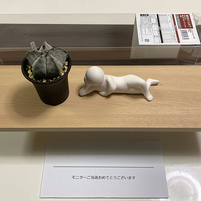 rinrinさんの実例写真