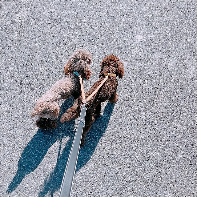 Mayさんの実例写真