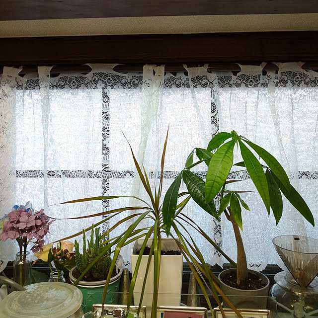 Tさんの実例写真