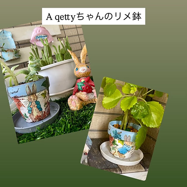 vol.4126写真