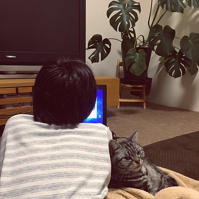 hiyupan88さんの実例写真