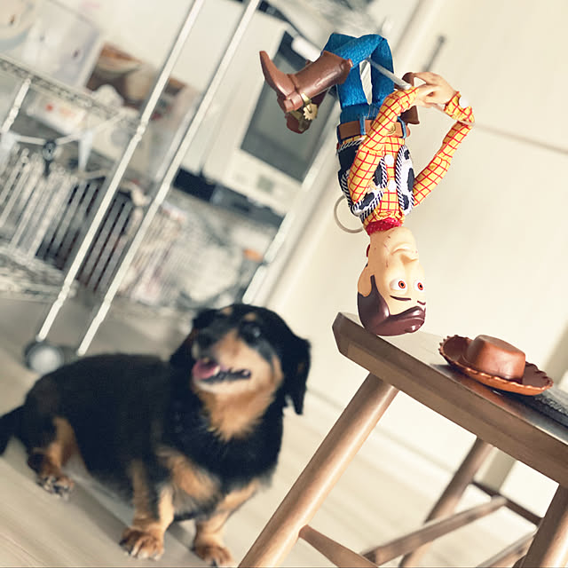 ohanaさんの実例写真
