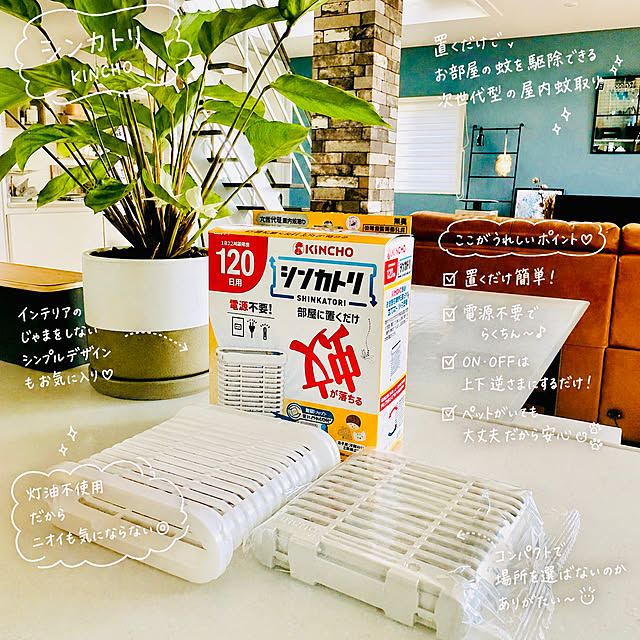 Yumi-springさんの部屋