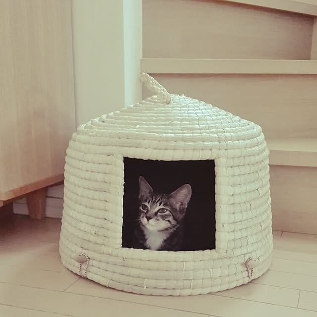 mappyさんの実例写真