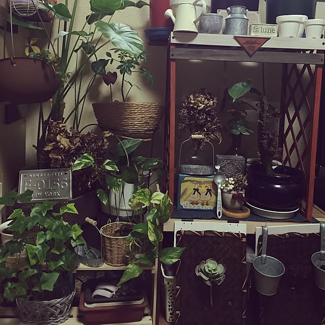 Norikoさんの実例写真