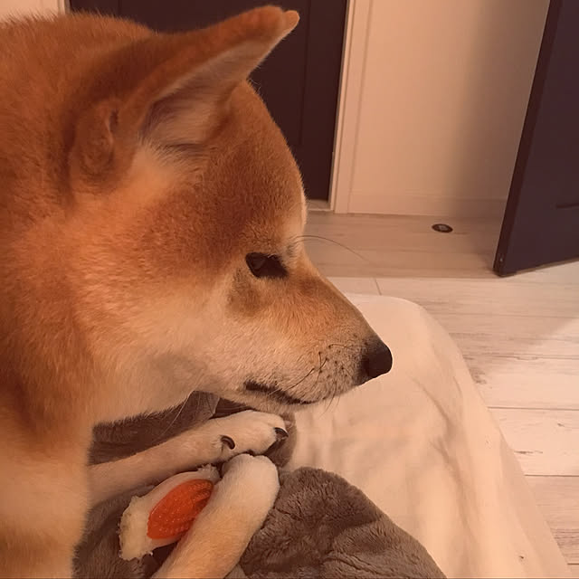 diez_taraさんの実例写真