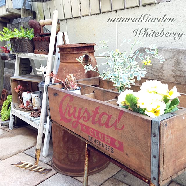 Whiteberryさんの実例写真
