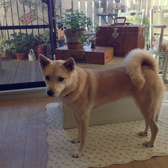 leonaさんの実例写真