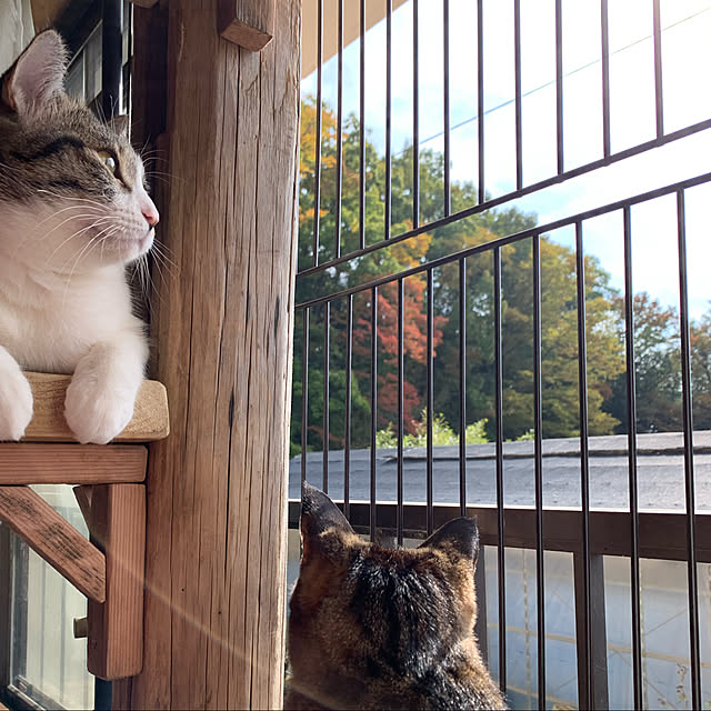 rioさんの実例写真