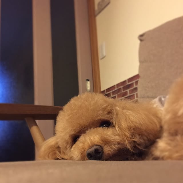 hamuさんの実例写真