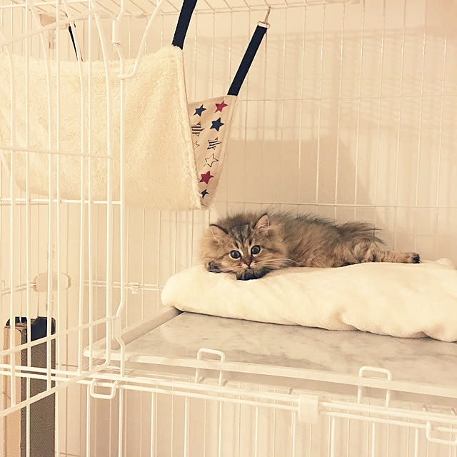 sachie.さんの実例写真