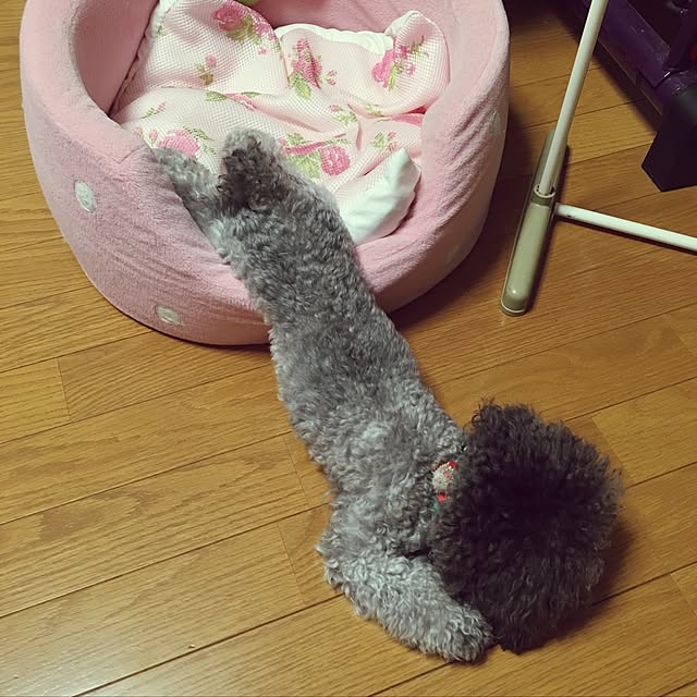 chocomamaさんの実例写真