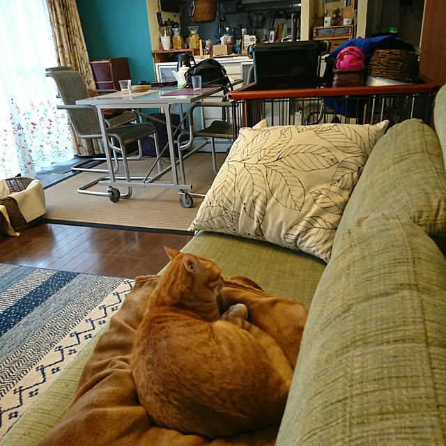 okyosan101さんの実例写真