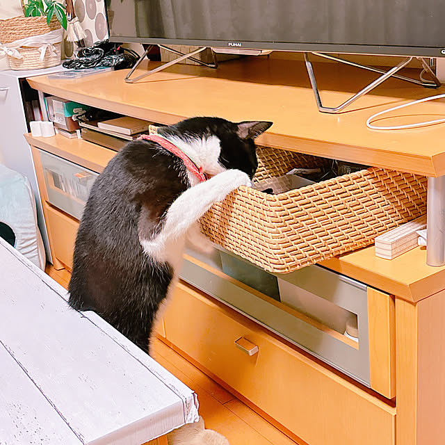 moolさんの部屋
