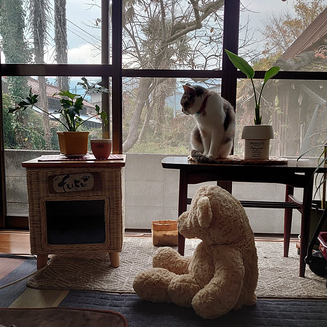 fukuさんの実例写真