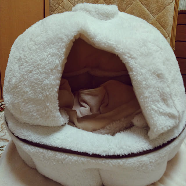 lilyさんの実例写真