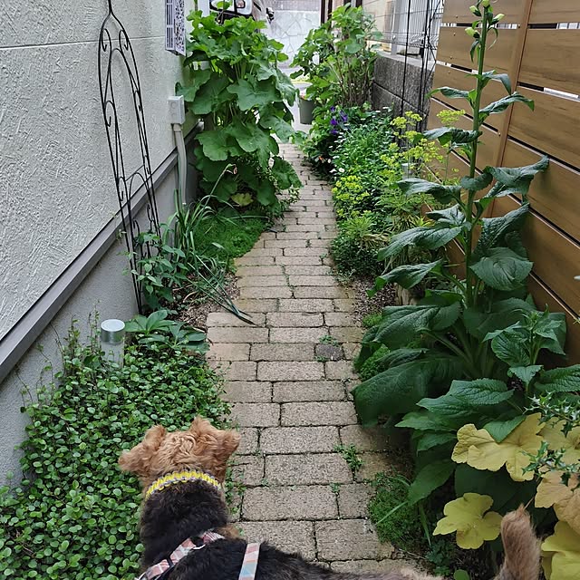 Mikiさんの部屋