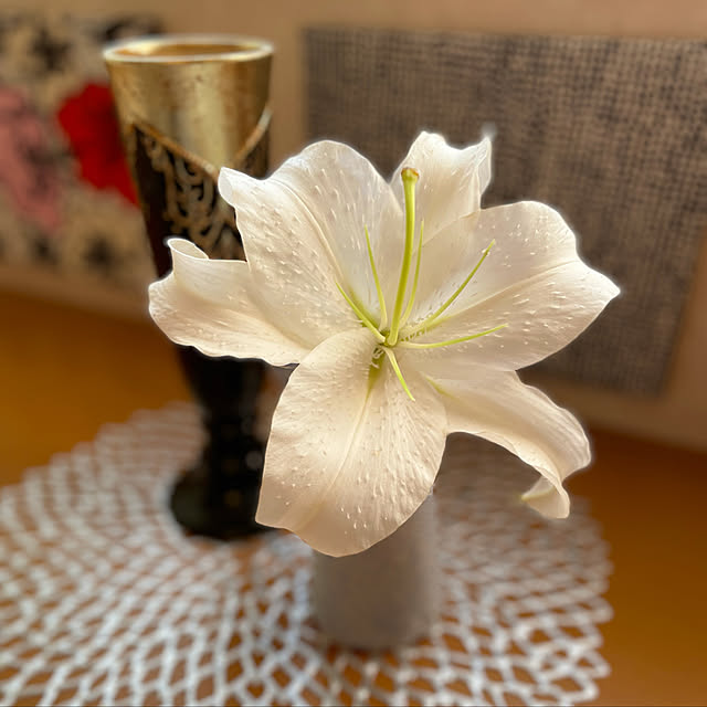 kuikoさんの実例写真