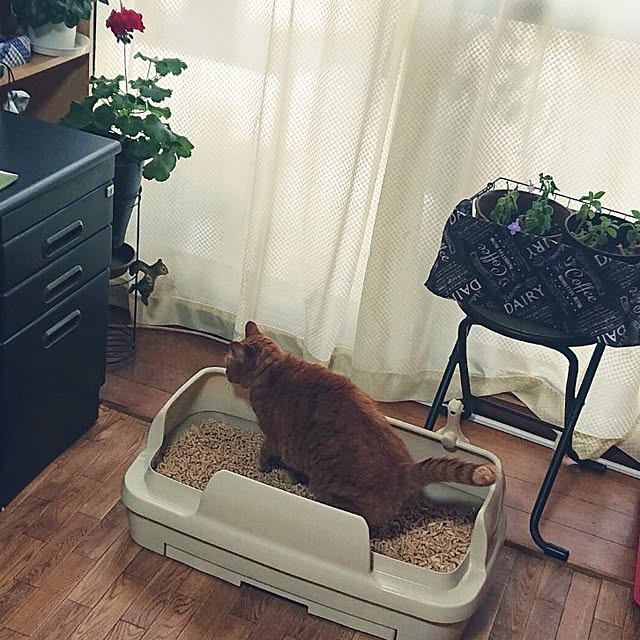 NOAHさんの部屋
