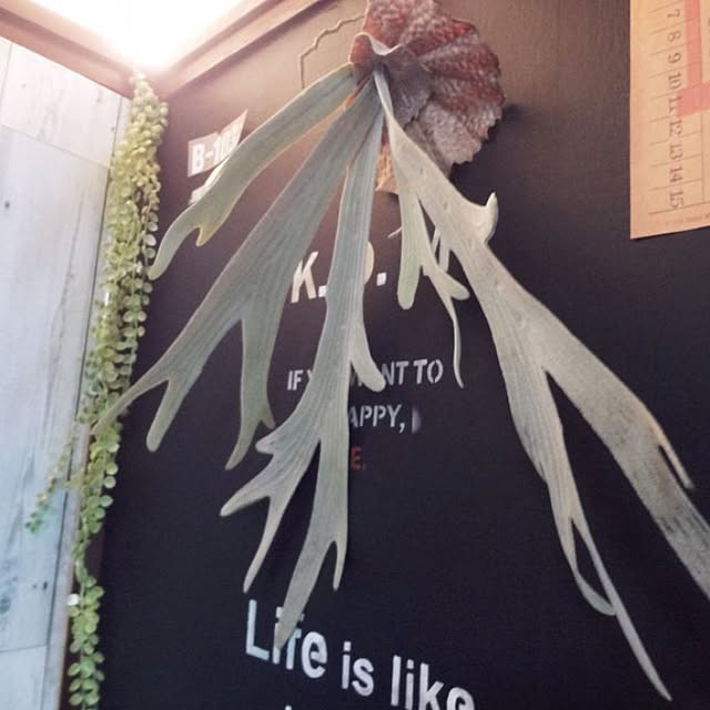 oririnさんの実例写真
