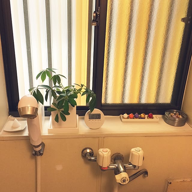 satominさんの実例写真