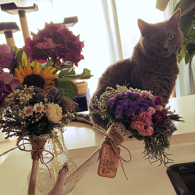 anneさんの実例写真