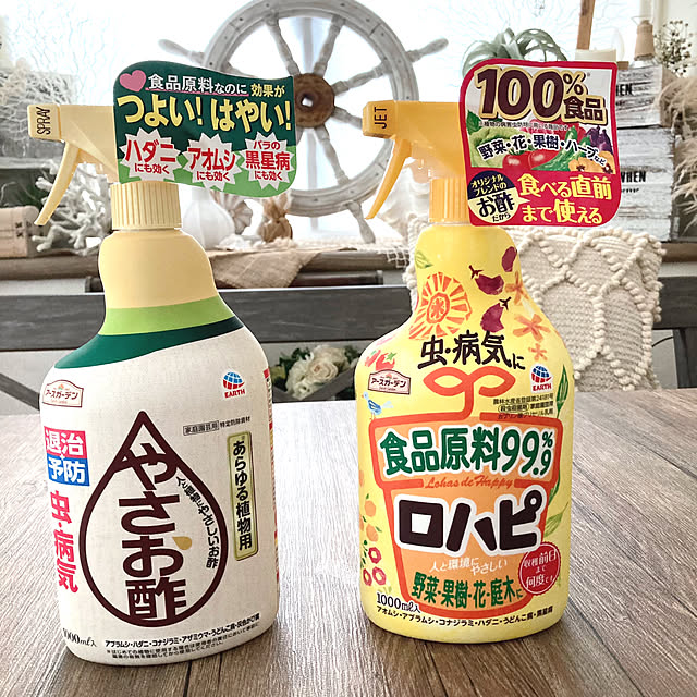 soraさんの実例写真