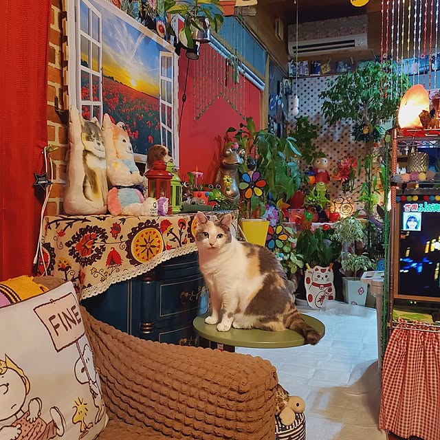 kumutanさんの実例写真