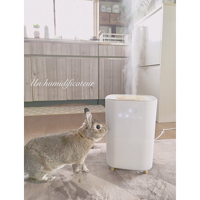 mashiさんの実例写真