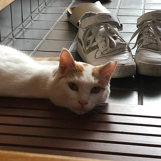 kaeruさんの実例写真