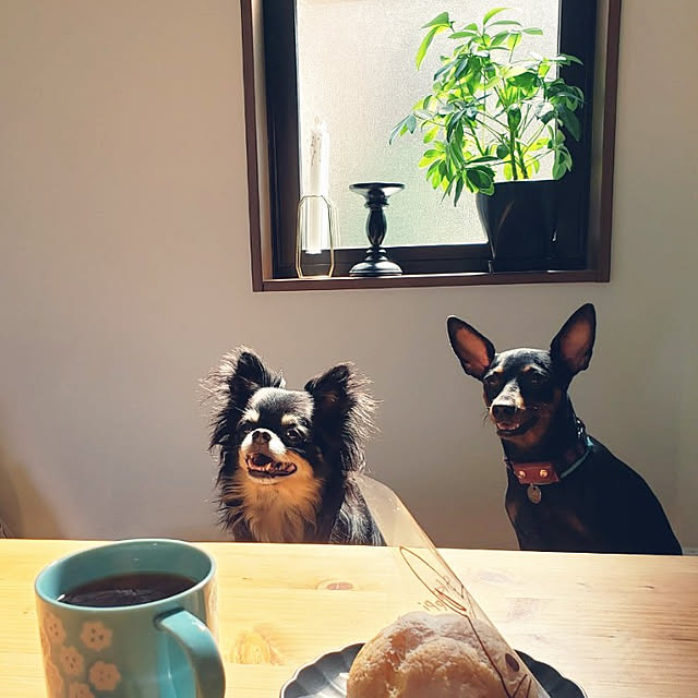 shizuponさんの実例写真