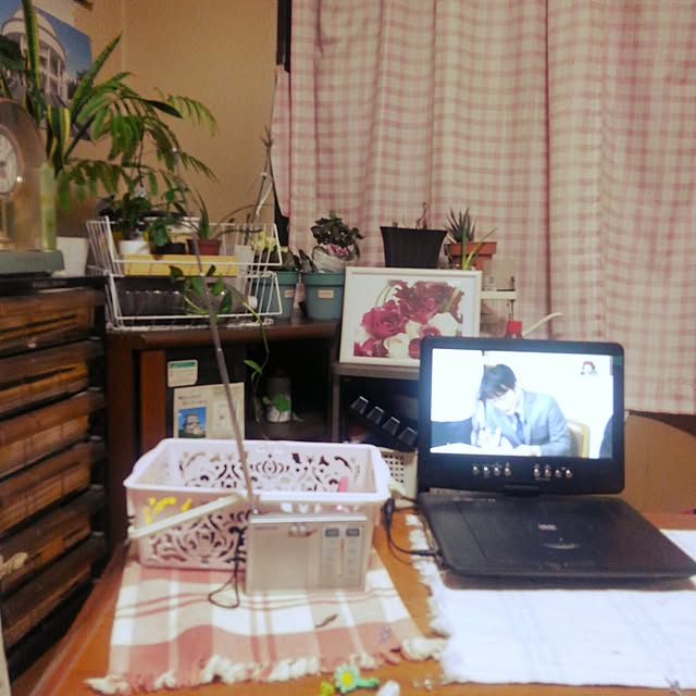 実例写真