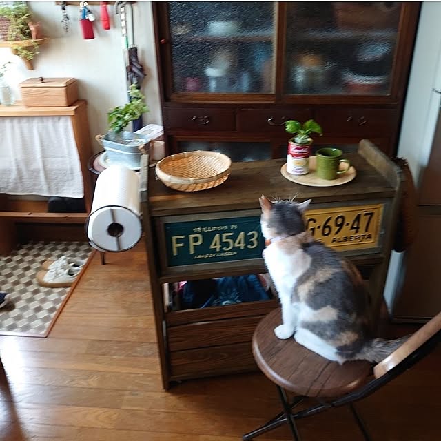 fukuさんの部屋