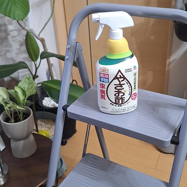 Riokaさんの部屋