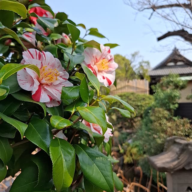 noaさんの部屋