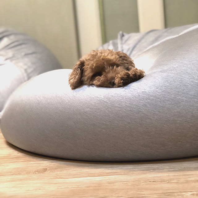 hamuさんの実例写真