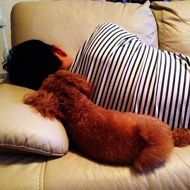 chocolatさんの実例写真