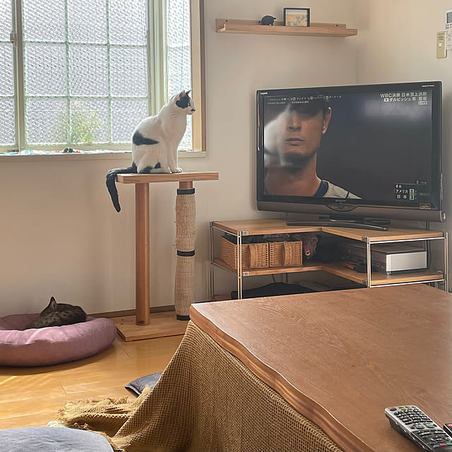 nobikoさんの実例写真
