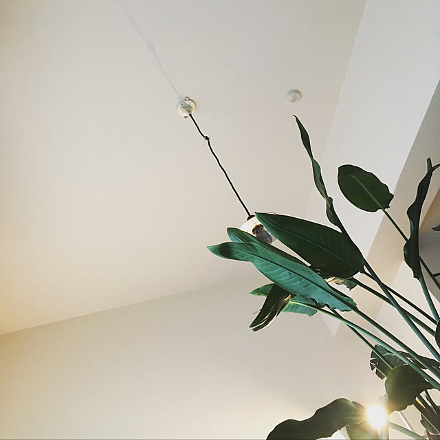 naoyaさんの実例写真