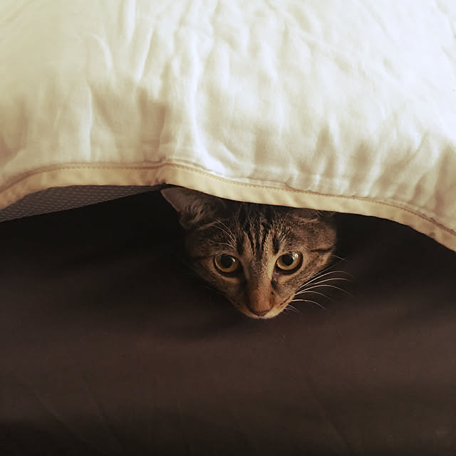 Mさんの実例写真
