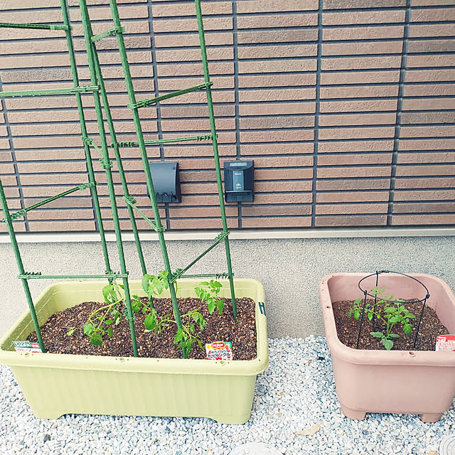 Yumaさんの実例写真