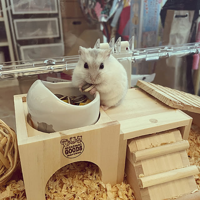 dayuccoさんの実例写真